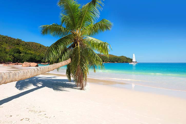 Jamaica Uncovered: Must-Have Travel Resources for an Enchanting Getaway